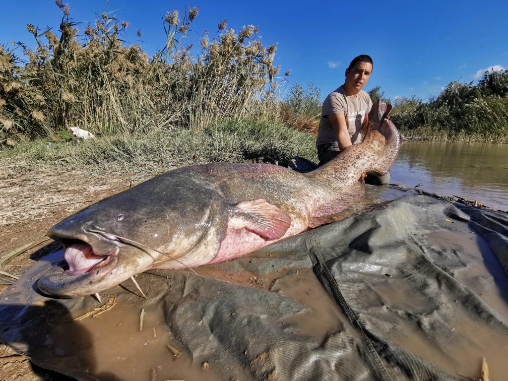Cristian Represa Perez von La Granja Fishing Tours in Spanien